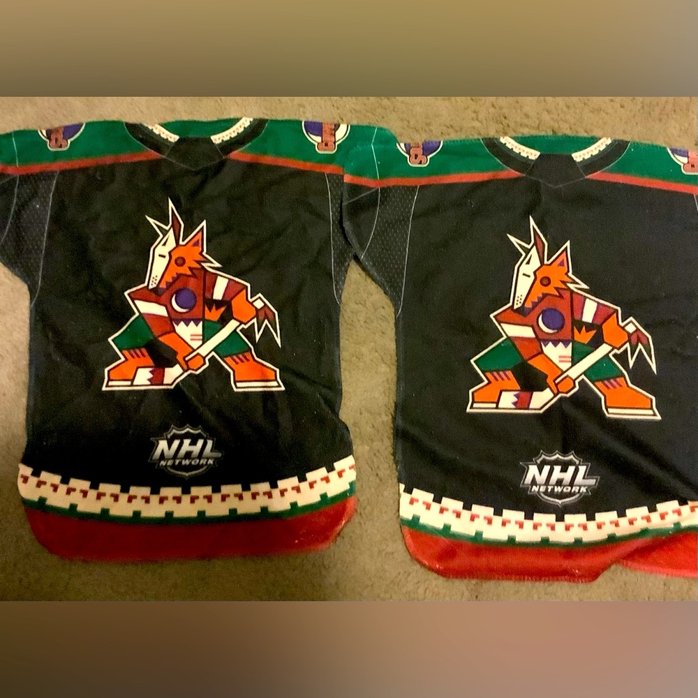 Arizona Coyotes Ultimate Fan Package ! Clear Stadium Bag, Water Bottle, Look 👀
